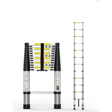 Daisy Home 2,9 mt Paslanmaz Teleskopik Merdiven 10 Basamaklı