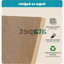 Cekar Store Karton Kedi Tırmalama ve Dinlenme Evi