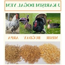 Cekar Store Buğday Kırık Mısır Arpa Karışım 10 kg Tavuk Yemi Kanatlı Yemi Kaz Yemi Doğal Yem Kümes Yemi