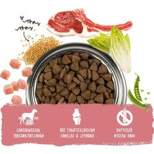 Cekar Store Bosch Adult Lamb Rice Kuzu Etli Pirinçli Yetişkin Köpek Mamasi 15 kg