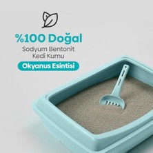 Cekar Store Okyanus Esintisi Kedi Kumu 10 kg