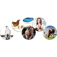 Cekar Store Animal Health Yara Bakım Solüsyonu 5 Lt