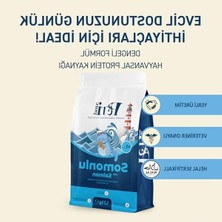 Cekar Store Kuru Yetişkin Kedi Maması - Besleyici Vitamin Ilaveli Tam ve Dengeli Mama (1,2 Kg, Somon)