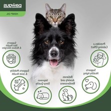 Cekar Store Kenevir Yağ Kedi Köpek Sakinleştirici - Stres, Hiperaktivite, Artrit, Nöbet, Iştah,uyku Takviyesi