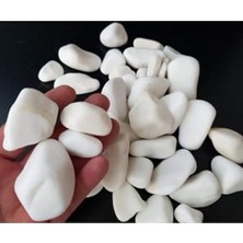 Cekar Store Beyaz Dolomit Taş 20 kg 2-4 cm Dere Çakıl Taşı Bahçe Süs Taşı Saksı Teraryum Taşı Akvaryum Taşı