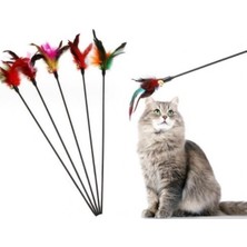 Cekar Store Tineke Çıngıraklı Tüylü Kedi Oyun Çubuğu