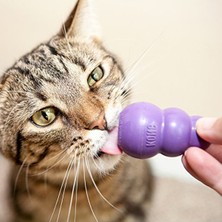 Cekar Store Cats Veya Kittens Için Treat Dispenser