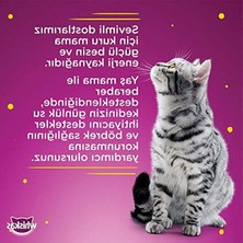 Cekar Store Whiskas Sığırlı Konserve Yaş Kedi Maması, 400 G