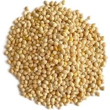 Cekar Store Ipek Değirmen 3 kg Premium Darı Paketi Sarı Ak Darı Soyulmuş Darı