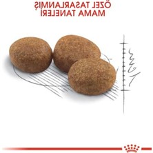 Cekar Store Royal Canin Sterilised 37 Kısırlaştırılmış Kedi Maması 15 kg