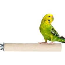 Cekar Store Ağaç Tünek Kuş Tüneği Yuvarlak Boy 15 cm Çap 2 cm Kayın Ağacı