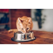 Cekar Store Whiskas Tavuklu Kuru Kedi Maması, 14 kg