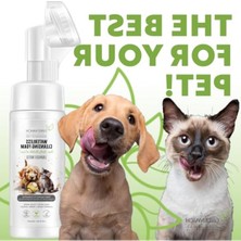 Cekar Store Greenwich Organik Içerikli Kedi Köpek Temizleme Köpüğü 150 ml | Pati ve Vücut | Kuru Şampuan | Tüy Dökme Karşıtı, Kaşıntı Tahriş ve Koku Giderici | Bit, Pire, Kene, Parazit Uzaklaştırıcı | Vegan