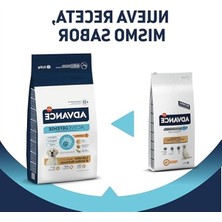 Cekar Store Dog Labrador 11,5kg