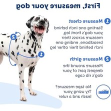 Cekar Store Easy Walk Köpek Koşum Takımı.