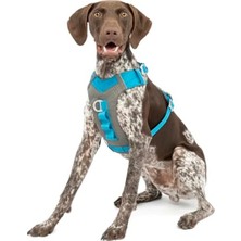Cekar Store Journey Air Köpek Koşum Takımı, Dolgulu Göğüs Kısmı ve Saplı, 11-23 kg Arası Köpekler Için, M Beden, Mavi/gri