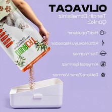 Cekar Store Topaklanan Organik Kedi Kumu 21 L