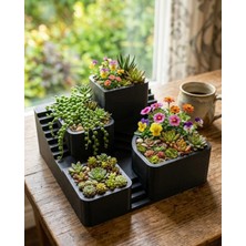 Nacario 3D Kaktüs Saksı Seti Çok Bölmeli Dekoratif Masaüstü Bitki Standı