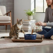 Cekar Store Ceraline 2’li Porselen Kedi Köpek Mama Kabı ve Su Kabı Evcil Hayvanlar Için (Yeşil-Mavi)