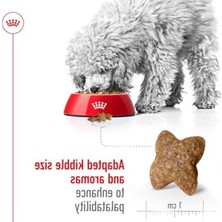 Cekar Store Royal Canin Mini Adult Köpek Maması, 2 kg