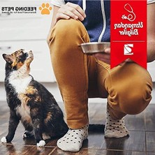 Cekar Store Tavuklu Hamsili Yetişkin Kedi Maması 15 kg