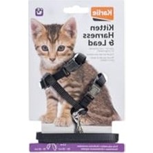 Cekar Store Karlıe Kedi Göğüs Tasması Siyah 120
