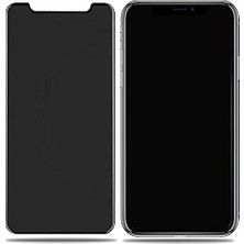 Daisy Home Xs 5.8 ​​​​​​​​​​​​ile Uyumlu Hayalet Rika Privacy Temperli Cam Ekran Koruyucu Siyah