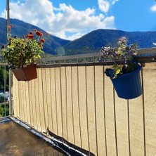 Çit Filesi - Krem Renk File - Şeritli ve Halkalı -%95 Görüntü Kesme - Bahçe Filesi - Kümes ve Bahçe Çit Filesi - Çit Örtüsü - 2 M x 4 M