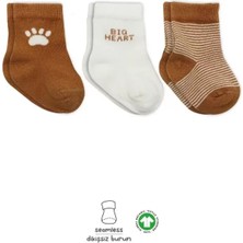 Gray Line Gry Nessiworld 3'lü Penye Soket Çorap BS10110 Hardal (Adet Fiyatıdır) Nel1