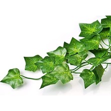 Cekar Store 12'li Paket 25 M Şerit Şeklinde Dekoratif Yapay Sarmaşık, Sarmaşık Yaprakları, Yapay Yeşil Asma Yaprakları, Yapay Bitkiler, Oda, Duvar, Bahçe, Parti ve Düğün Dekorasyonu Için Asılan Yapay Bitki