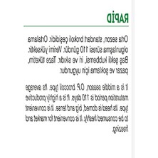 Doğal Yerli Brokoli Çeşit Rapid 100 Adet Tohum