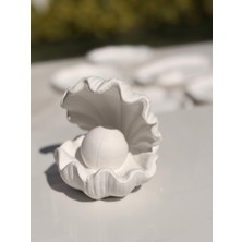Mezra Art Deniz Kabuğu Içinde Inci Dekor – Taş Döküm Obje