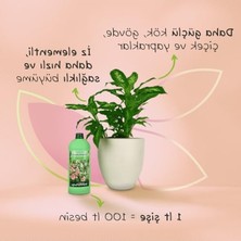 Genel Kullanım Sıvı Bitki Besini Sıvı Gübre 1000 ml