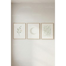 Tontilika Soft Botanik & Geometrik 3’lü Ahşap Çerçeveli Tablo Seti – Minimal Modern Duvar Dekoru