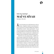 Siv Ticaret Mai ve Siyah