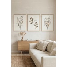 Tontilika Minimalist Botanik Çizimler 3’lü Ahşap Çerçeveli Tablo Seti