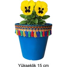 Zayka Nf Dekoratif Saksı 1.7 Litre