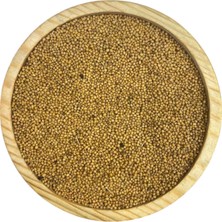 Zenvia Sarı Hardal Tohumu 1kg