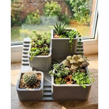 Siv Ticaret 3D Baskı Kaktüs Saksı Seti Çok Bölmeli Modern Dekoratif Masaüstü Bitki Düzenleyici - Lisinya