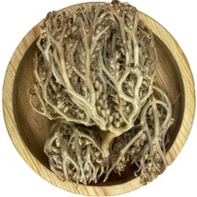 Zenvia Meryem Ana Eli 1kg