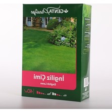 Genta Prestige Ingiliz Çimi Tohumu 1 kg