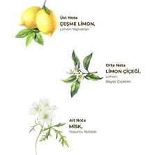 Nessi World Kolonya Pet Şişe Sprey 150 ml Çeşme Limonu