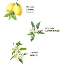 Nessi World Kolonya Pet Şişe Sprey 150 ml Limon