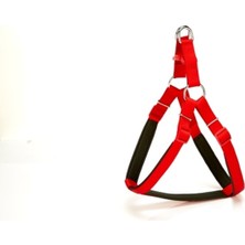 Luord-Store Bel Tasması 70CM Large Kırmızı