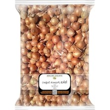 Kıska Soğan 500 Gr. Arpacık Soğan Iska Soğan Tohumu Iska