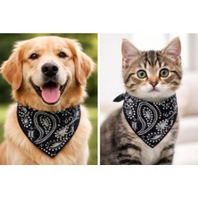 Tineke Evcil Hayvan Köpek Boyun Tasması Yakalık Önlük Fular No Siyah (Küçük 330)