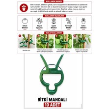 Regular Bitki Mandalı 10 Adet