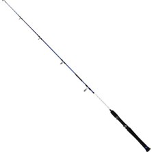 Captain 1495 Magnum-X Solid Boat 2 Parça Tekne Kamışı Action-M