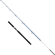 Captain 1411 Victor Boat 2 Parça Tekne Kamışı 30-160GR Atar