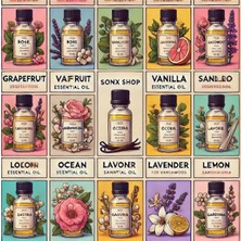 Marsilyan Favori 10'lu Set Esansiyel Uçucu Yağ Buhurdanlık Hava Nemlendirici Aroma Difüzörü Kokusu Esans